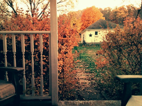 AMANDA OCHOCKI Fall 2015 ochocki (1)